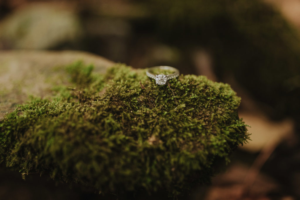 A mossy ring shot in the middle of the woods