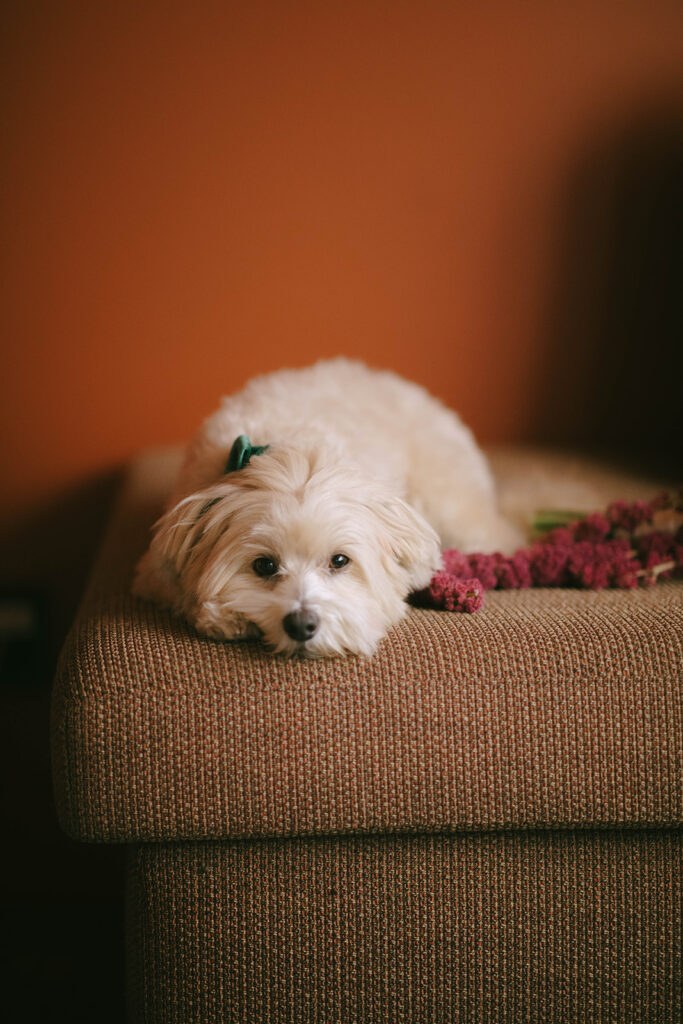 This stunning Miami wedding at the iconic Mayfair House Hotel was the perfect blend of chic, editorial style and effortless luxury. As a South Florida wedding photographer, I’m constantly inspired by couples who embrace fashion-forward details and bold aesthetics—and this gallery delivered all of that and more. From the breathtaking architecture of the Mayfair House Miami to the elegant garden-inspired details, every moment felt straight out of a modern magazine spread.